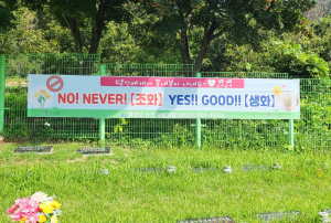 구룡공설묘지 내 ‘조화’ 사용 금지