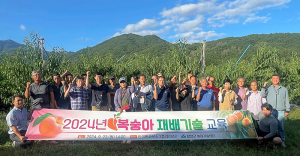 함양군, 고품질 복숭아 생산을 위한 재배기술 교육 실시