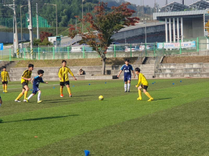 함양교육지원청, 학생과 함께하는 학교스포츠클럽대회 개최