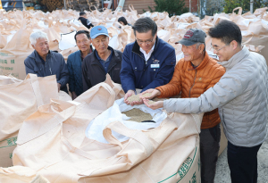 함양군, 2024년산 공공비축미 건조벼 매입 시작