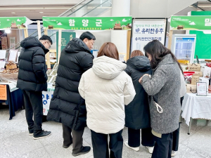 산양삼, 서울 도심서 인기몰이