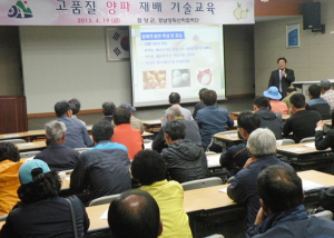 고품질 양파 재배기술교육 실시