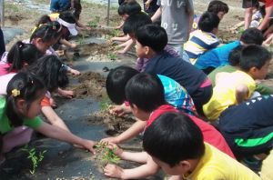 로컬 푸드. 우리가 시작해요