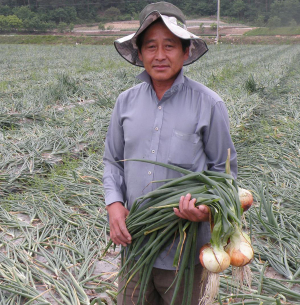 함양군 수동면 김동철 씨. 양파 재배로 부농의 꿈 이뤄