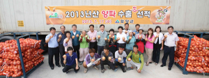 함양양파. 대만식탁에 오르다