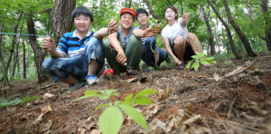 함양산삼축제... 심봤다!