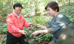 산삼농가 방문한 이동필 농식품부 장관