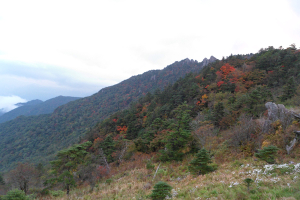 지리산 단풍 절정 시기는?