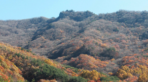 가는 지리산 가을