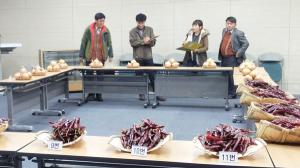 제1회 함양군 농업인의날 전시할 농산물 평가회
