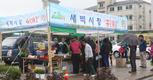 새벽시장 ‘휴’ 동절기 임시 휴장