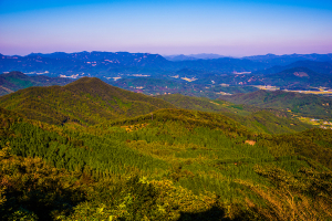 관리하기 힘든 산. 서부산림청에서 매수합니다