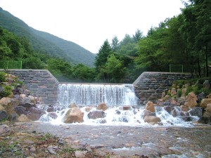 튼튼하고 친환경적인 산림토목사업 추진
