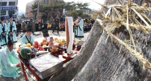 11개 읍면서 정월대보름행사 다채롭게 진행 