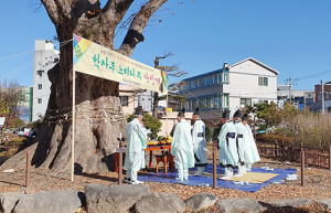 함양 학사루 느티나무 당산제 개최