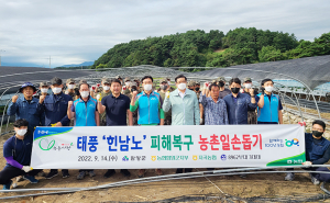 농협함양군지부, ‘힌남노’ 태풍 피해복구 일손지원