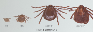 함양군, 관내 올해 첫 SFTS 환자 발생