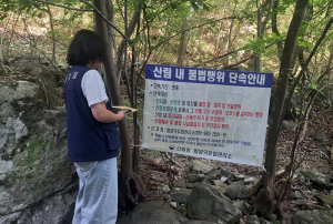 함양국유림관리소, 가을철 임산물 불법채취 특별단속 실시