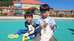 함양 금반초, 유산양 기르며 친환경 생태전환교육 인기 만점