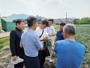일본 선진 양파 재배 기술 전수…노지 셀 트레이 육묘 확산 나선다