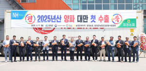 2025년산 함양 햇양파, 올해 첫 대만 수출