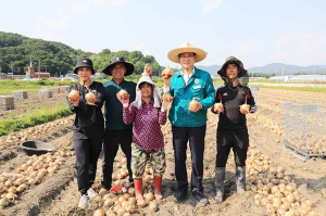 함양군, 농번기 맞아 양파 수확 등 일손돕기 집중 추진