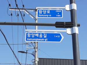함양군, 도로명주소 시설물 일제 조사 완료